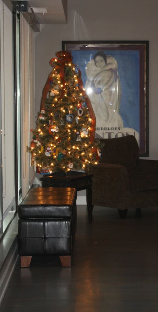 small tree hallway view