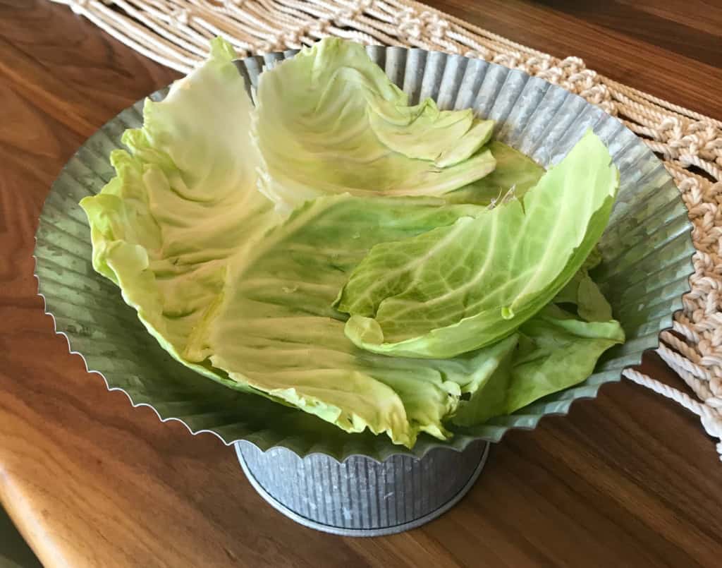 cabbage vase
