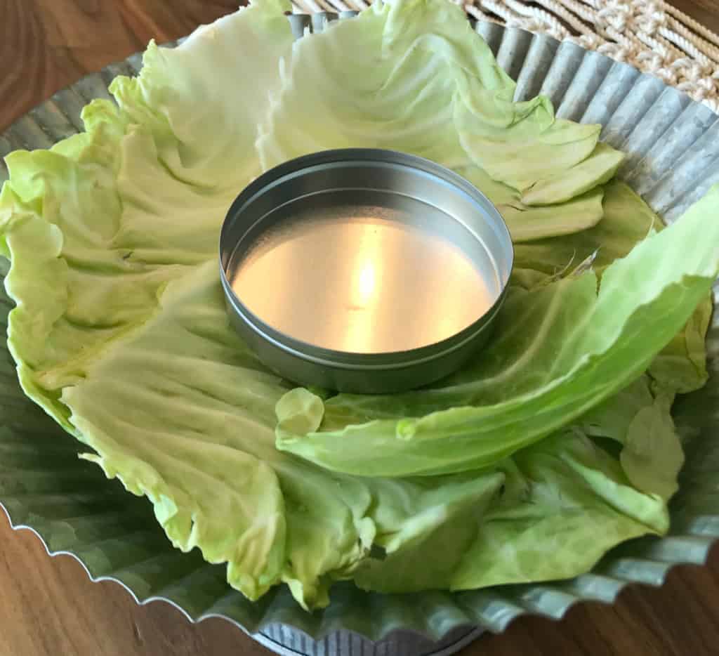 cabbage vase