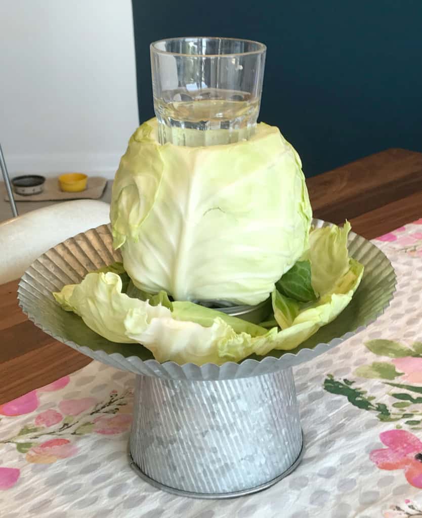 cabbage vase