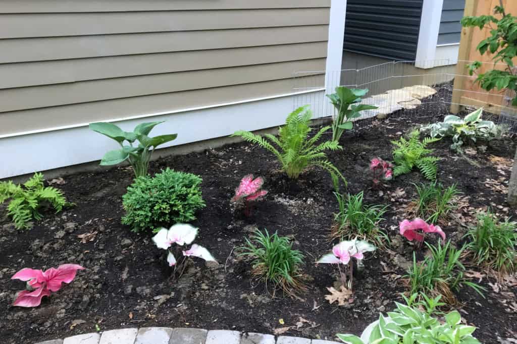 french country garden