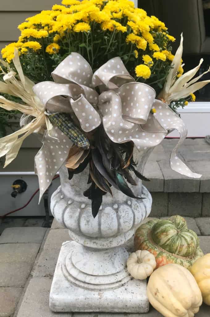 displaying mums