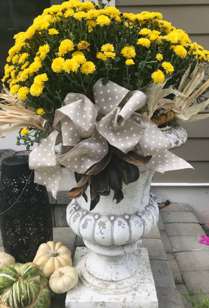 displaying mums