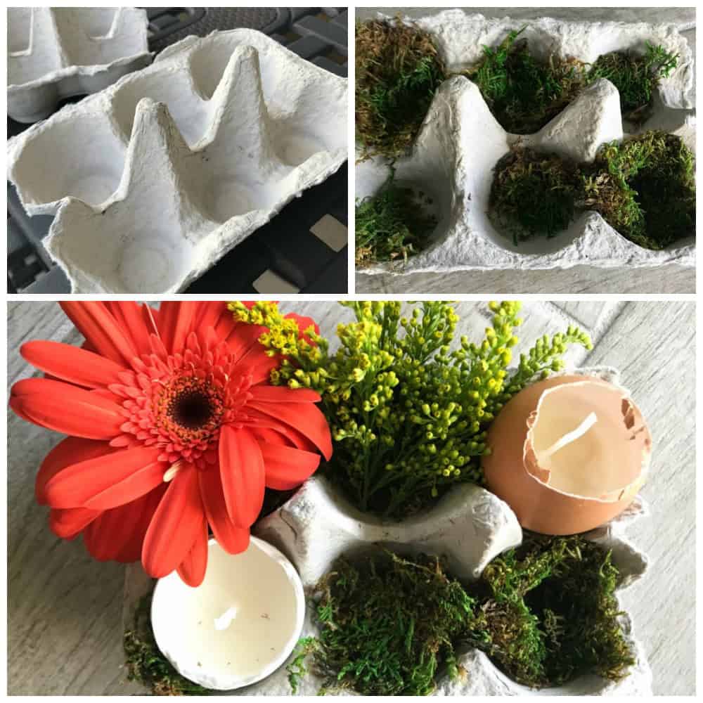 egg carton