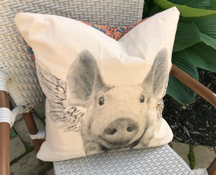pig pillow