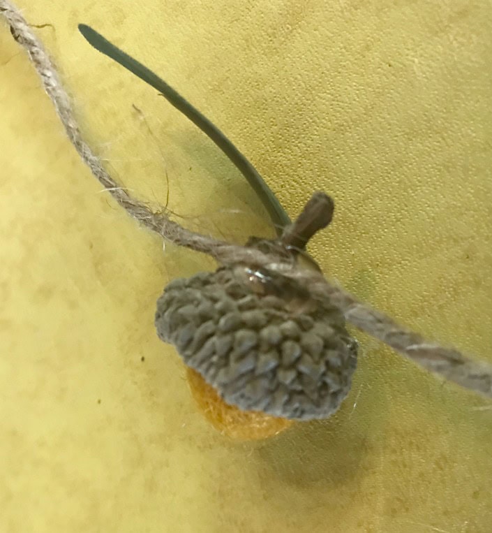 twine glued to acorn