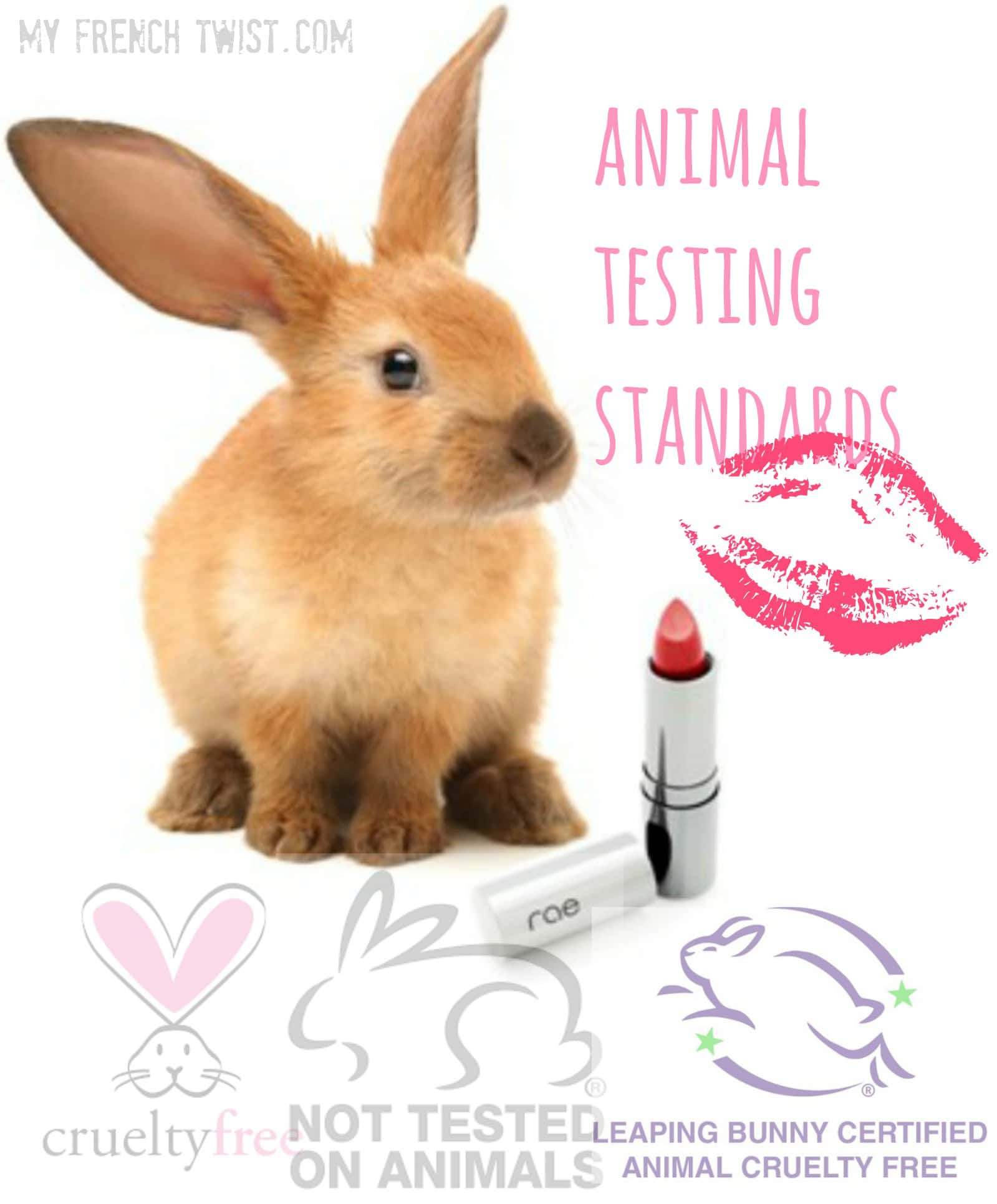 animal experimentation rabbits