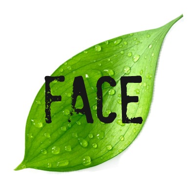 green beauty face
