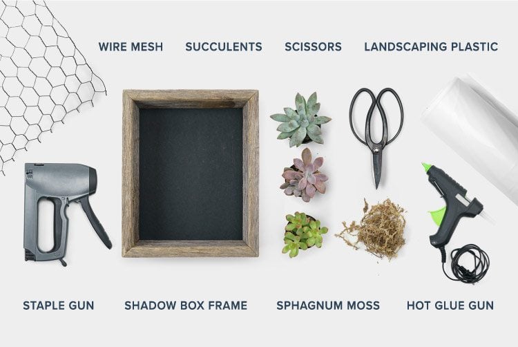 Using Picture Frame Succulent Vertical Garden