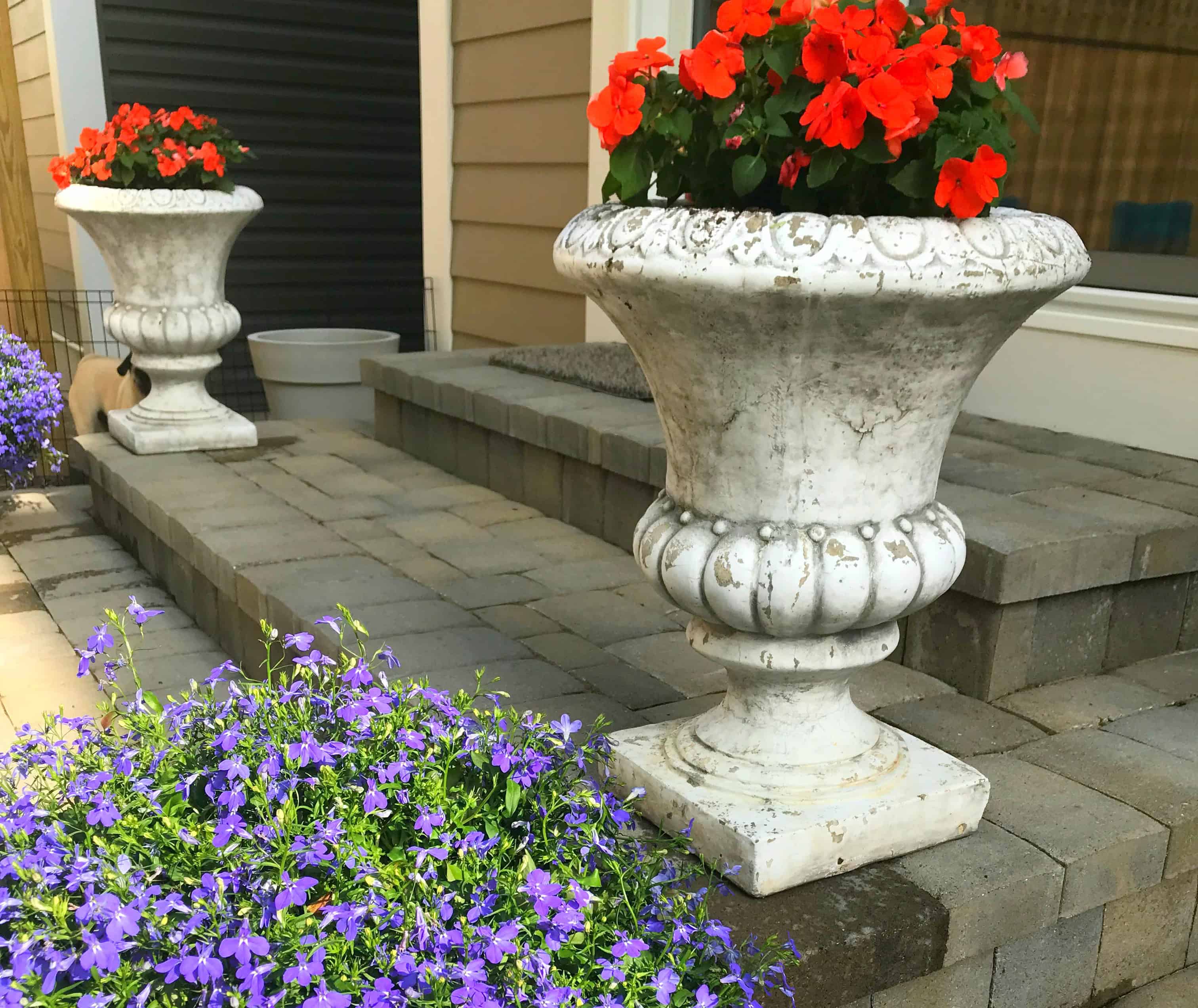 french country garden