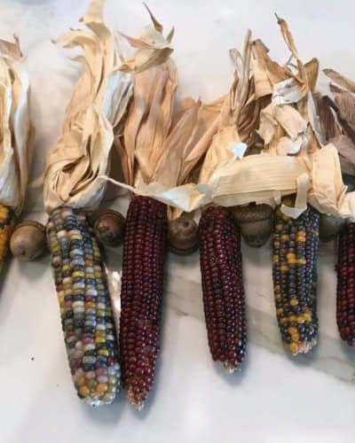 corn &amp; acorn swag