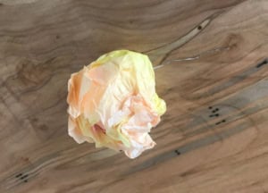 coffee filter peony