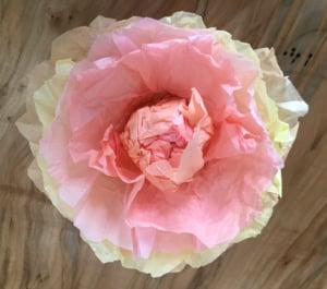 coffee filter peony
