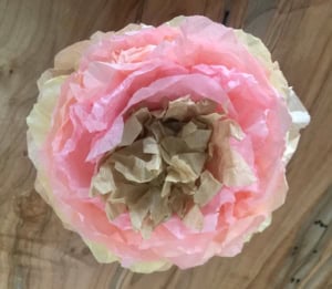 coffee filter peony