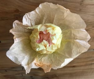 coffee filter peonies