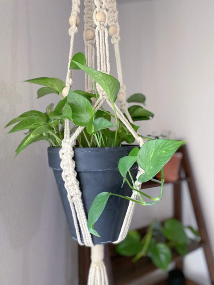 Natural Wood Ring - Plant hanger ring – MODERN MACRAMÉ - MODERN MACRAME