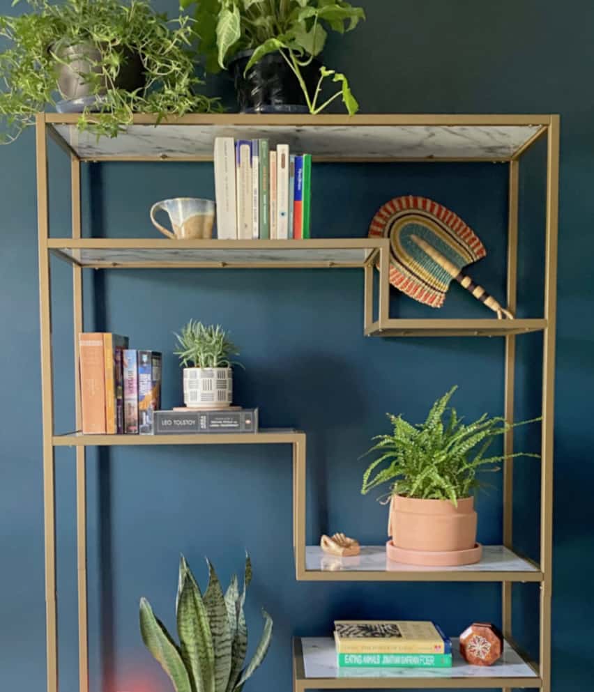 Small blue bookshelf store